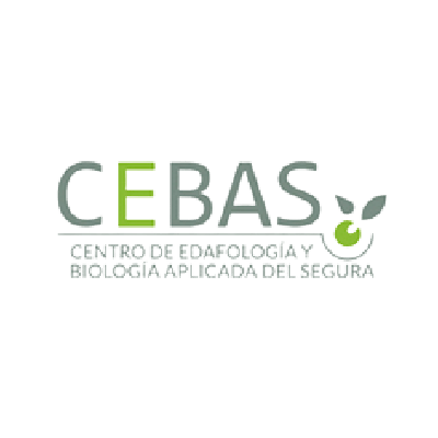 cebas_log-removebg-preview