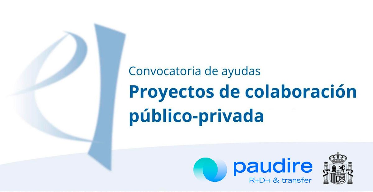 ayudas del programa colaboracion publico privada 2023 - paudire